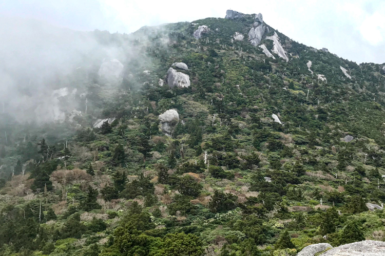 宮之浦岳へ向かう登山道の風景