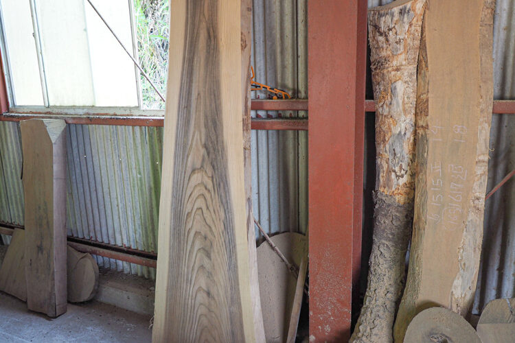 屋久島地杉の無垢材・一枚板の販売 | 橋口木材加工センター 鹿児島県 